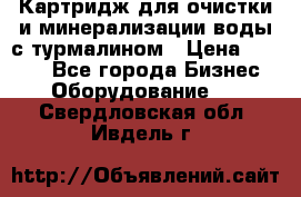 Картридж для очистки и минерализации воды с турмалином › Цена ­ 1 000 - Все города Бизнес » Оборудование   . Свердловская обл.,Ивдель г.